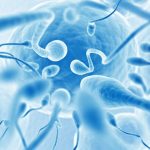 Analisa Sperma Prosedur Pengujian Jumlah dan Hasil
